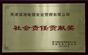 社會責(zé)任貢獻(xiàn)獎